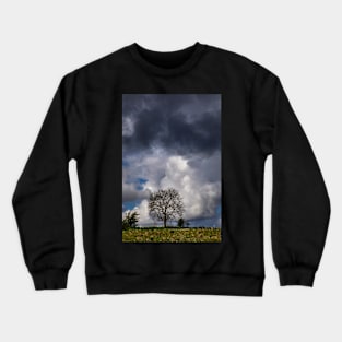 Under the sky Crewneck Sweatshirt